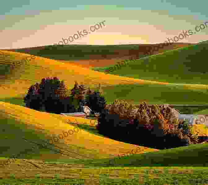 A Beautiful Photo Of Owl Town Farm, With Rolling Hills, Green Fields, And A Pond In The Foreground. Respite: Ode To Owl Town Farm