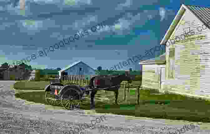 A Couple Holding Hands, Surrounded By A Lush Green Meadow And A Quaint Amish Buggy A Second Chance: An Amish Romance