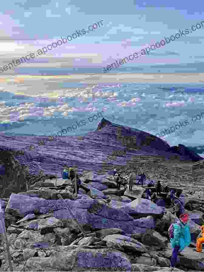 A Group Of Hikers Making Their Way Up Table Mountain, With Stunning Views Of The City Below Into Africa : Living Working In Cape Town