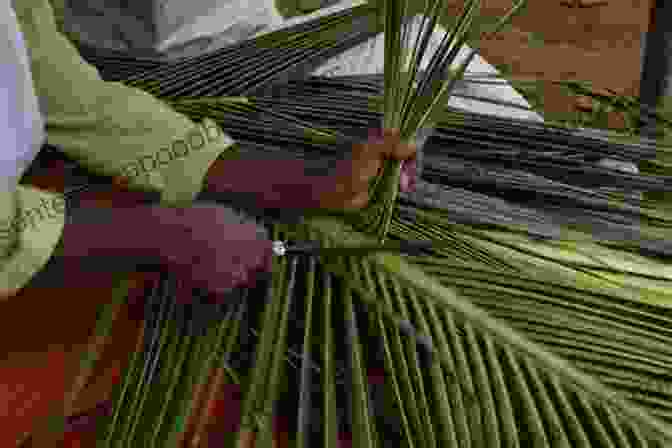 A Group Of People Engaging In A Coconut Palm Frond Weaving Workshop Coconut Palm Frond Weavng Judy Hopkins