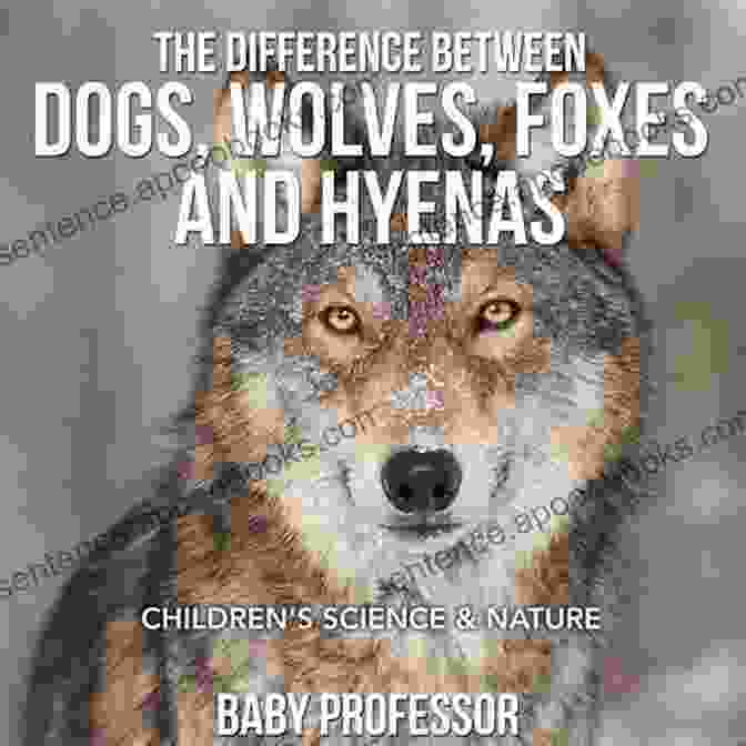 A Series Of Images Depicting The Behavioral Ecology Of Dogs, Wolves, Foxes, And Hyenas The Difference Between Dogs Wolves Foxes And Hyenas Children S Science Nature