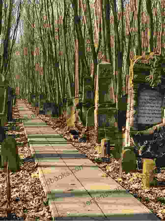 A Sunrise Over A Jewish Cemetery, Symbolizing Hope And Renewal Saying Kaddish: How To Comfort The Dying Bury The Dead And Mourn As A Jew