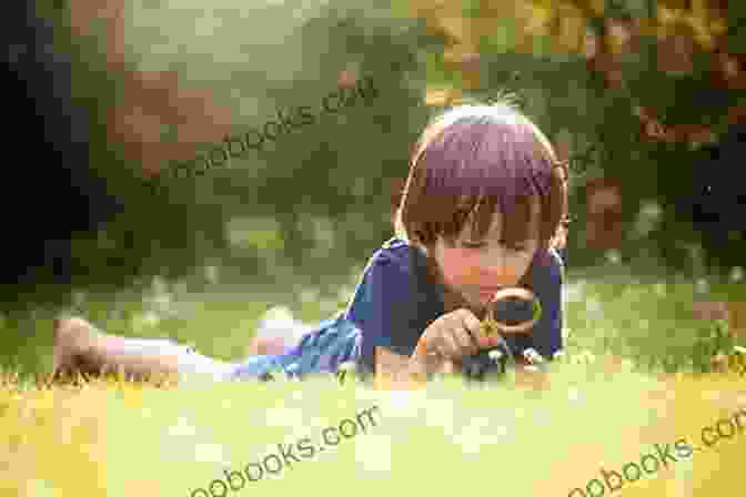 A Young Boy Exploring The Wonders Of Nature D Day In The Eyes Of A Boy