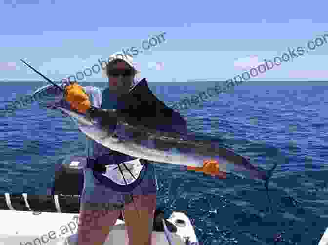 An Angler Proudly Holds A Sailfish That He Has Caught. SAIL FISH: Every Information You Need To Know About Sailfish