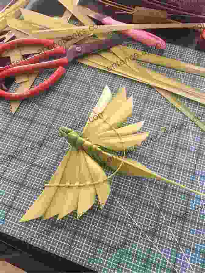 An Assortment Of Coconut Palm Frond Weaving Techniques Coconut Palm Frond Weavng Judy Hopkins