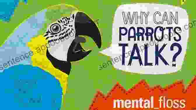 Book Cover Of 'When Media Parrots Lie' When Media Parrots A Lie