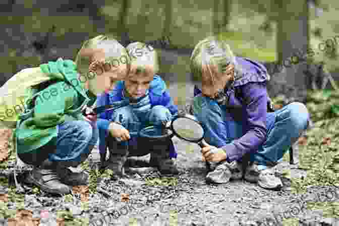 Children Engaging In Various Nature Activities, Such As Birdwatching, Gardening, And Exploring A Forest Explore Your Environment: K 8 Activity Guide