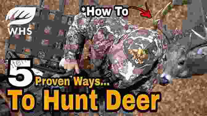 Easiest Way To Hunt Deer: A Comprehensive Guide For Beginners Easiest Way To Hunt Deer