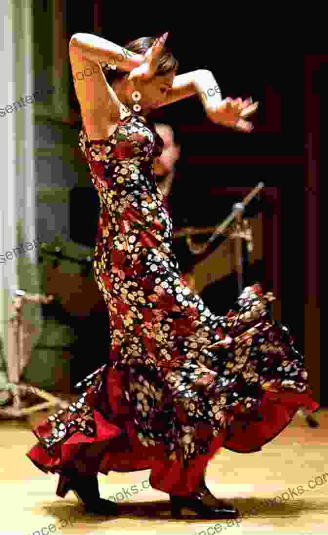 Flamenco Dancer In Action Sounds Of Spain 3 Michelle Cohen