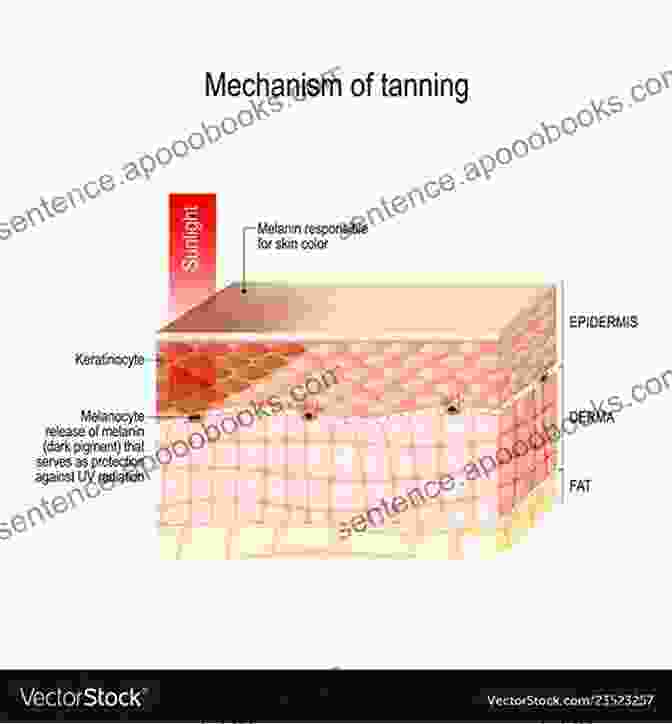 Image Of Post Tanning Processes How To Manufacture Leather Vol 2