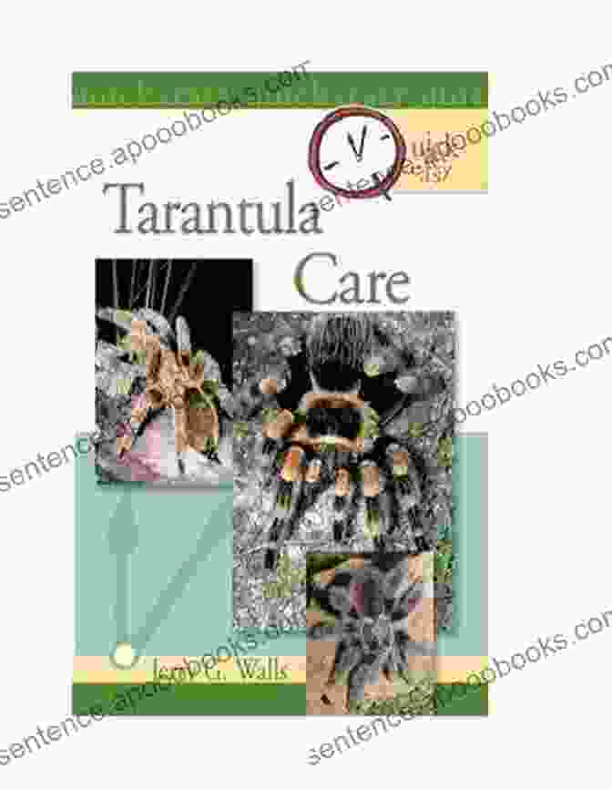 Laura England, Author Of Quick Easy Tarantula Care Quick Easy Tarantula Care Laura England