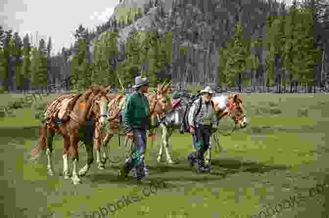 Montana Rangers Patrolling Rugged Terrain On Horseback Montana Ranger (Brotherhood Protectors 5)