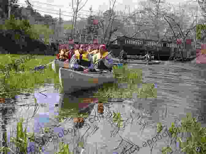 Photo Of A Restoration Project On The Nemasket River Nemasket River Herring: A History (Natural History)