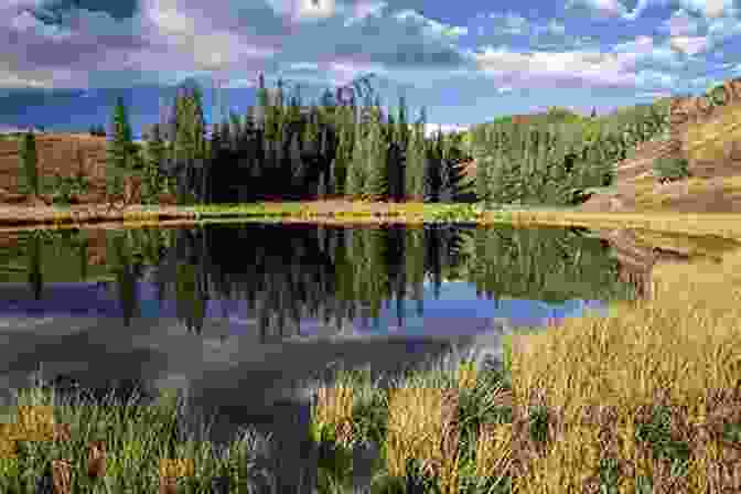 Picturesque Lake Surrounded By Lush Greenery In Umbria Tuscany Umbria Adventure Guide (Adventure Guides)