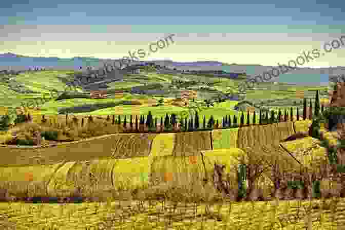 Rolling Hills And Vineyards In Tuscany Tuscany Umbria Adventure Guide (Adventure Guides)