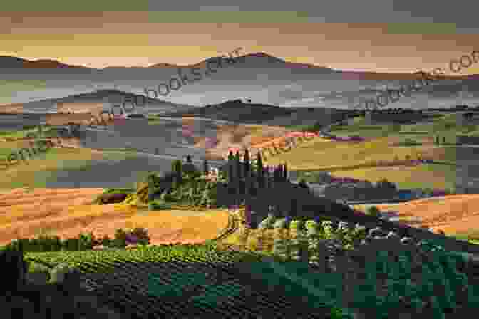 Scenic View Of The Rolling Hills And Vineyards Of Tuscany, With A Medieval Castle Perched Atop A Hill Florence Tuscany Companion (Time Travel Guides 4)