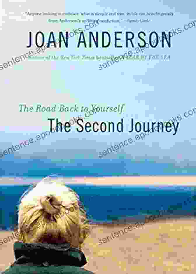 Starting Over Coastal Holiday Book Cover Featuring A Woman Looking Out At The Ocean Starting Over (Coastal Holiday 2)