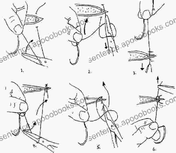 Step 4: Tie In A Thorax. Old Flies In New Dresses How To Dress Dry Flies With The Wings In The Natural Position And Some New Wet Flies