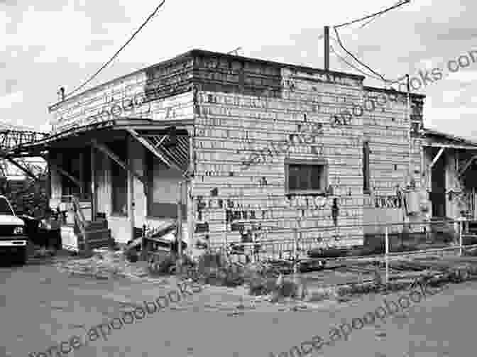 Survivors Cautiously Exploring The Dilapidated Ruins Of Seattle. Dead America Seattle Rebuild Pt 4 (Dead America The Second Month 16)