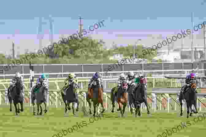 Swopquartet Trifecta Horseracing 2024 SWOPQUARTET TRIFECTA HORSERACING 2024 Ronan Hession