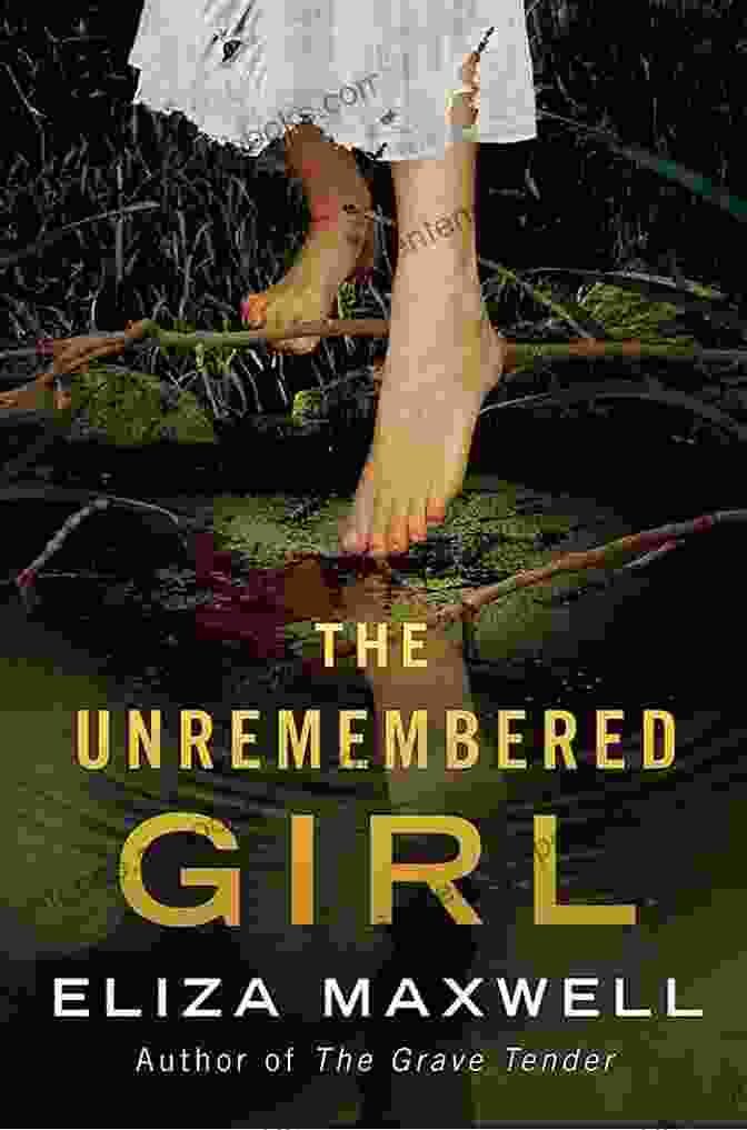 The Unremembered Girl Novel Book Cover The Unremembered Girl: A Novel