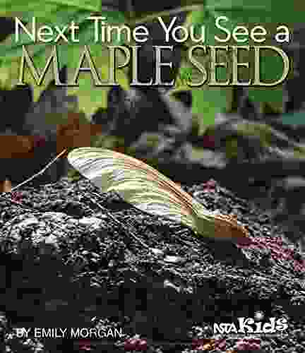 Next Time You See A Maple Seed