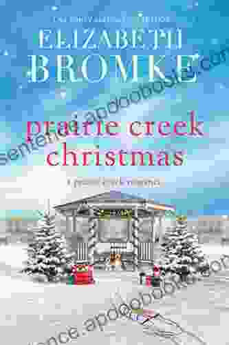 A Prairie Creek Christmas: A Prairie Creek Romance (Prairie Creek Sweet Romances 4)