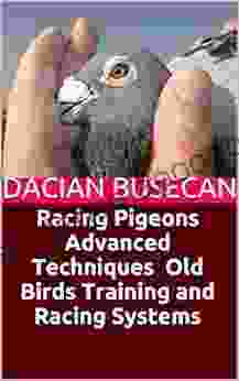 Racing Pigeons Advanced Techniques Old Birds Training and Racing Systems