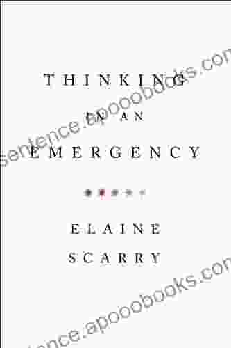 Thinking In An Emergency (Norton Global Ethics Series)