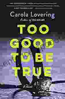 Too Good To Be True: A Novel