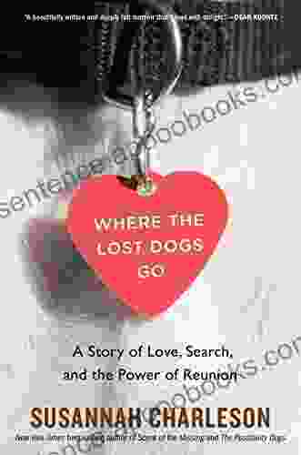 Where The Lost Dogs Go: A Story of Love Search and the Power of Reunion